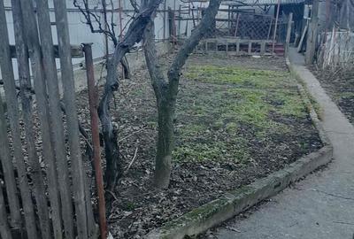 Casă cu 3 camere în Central - 10