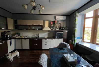 Vila individuala / 10 camere + / Valea Oltului / 620mp utili / 2190mp curte - 8