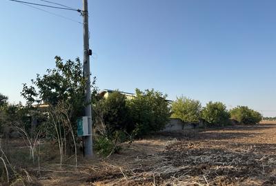 Teren Dn4 Frumusani - 1