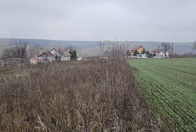 Spațiu comercial, în Popricani - 3