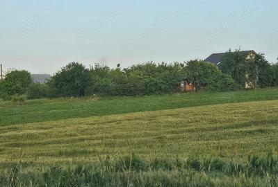 Teren de 11860 mp, în Călugăreni - 10