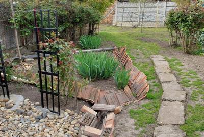 Casă de vânzare urgent în Jimbolia- 731 Casă de vânzare urgent în Jimbolia- 731 - 18