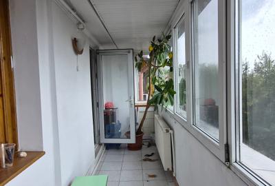 Apartament cu 3 camere decomandat, mobilat în Delfinariu - 9