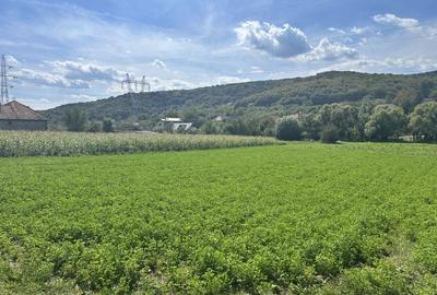 Teren intravilan 2.000 mp front 36ml Popesti Vale - 1