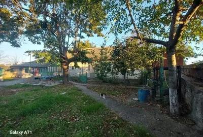 Casă cu Teren 3447 Mp în Satu Nou - 4
