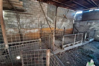 Teren 4000 mp + casa demolabila in Bragadiru/Varteju (Magurele) - 9