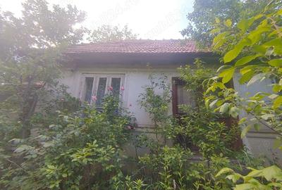 Vand Casa batraneasca + Grajd si teren intravilan 4000mp SERBESTI VIDRA VRANCEA de vanzare - 2