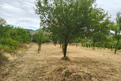 Terenuri intravilane alipibile in Runcu, zona cu potential - 7