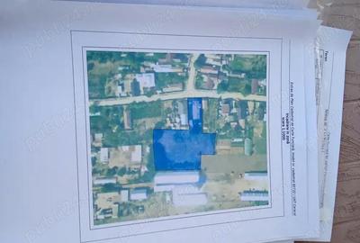 Casă cu 5 camere în Central - 5