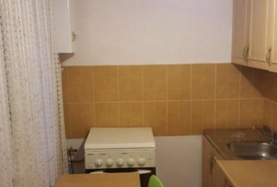 Apartament cu o camera Sagului - 4