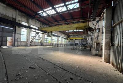 Hala industriala de inchiriat, 1.000 mp + teren 5.000 mp - 4