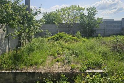 Teren de 300 mp, în Petrăchioaia - 3