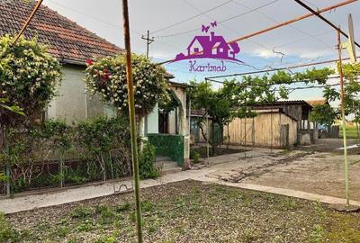 Casa in localitatea Ianosda - 1