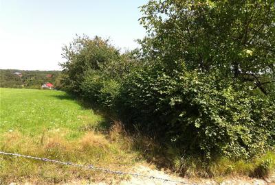 Teren de 3200 mp, în Rășinari - 3