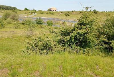 Spațiu comercial, în Cârțișoara - 4