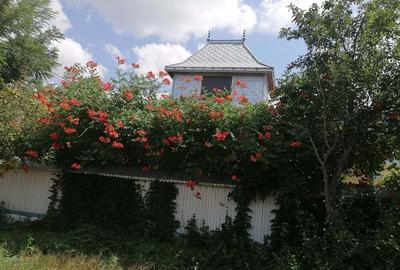 Casă în Dealu Morii - 1