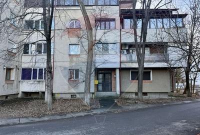 Apartament cu 3 camere decomandat, mobilat în Bistrița Lac - 15