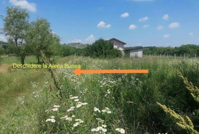 Teren de 500 mp, în Țintea - 2