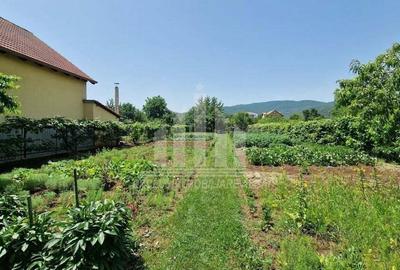 Teren intre Alba-Micesti, partea dreapta - 1