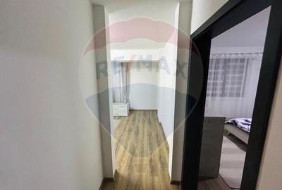 Apartament cu 2 camere decomandat, mobilat în Brazda lui Novac - 2