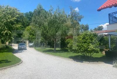 Casa individuala, 1600 mp teren, mobilata si utilata de lux, zona Burdujeni - 3