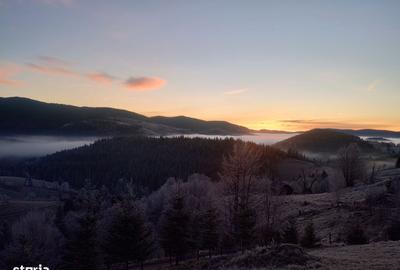 Spațiu comercial, în Bubești - 2