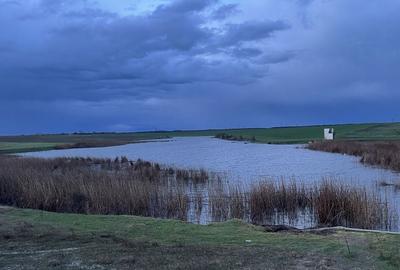 Teren de 120000 mp, în Drăgănești-Vlașca - 6