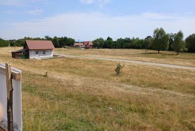 Spațiu comercial, în Cârțișoara - 3