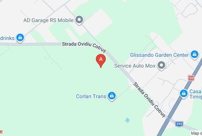 Teren Construcții intravilan de 10000 mp, în Șagului - 1