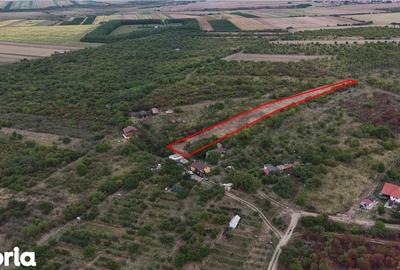 Teren de 2746 mp, în Girișu de Criș - 3