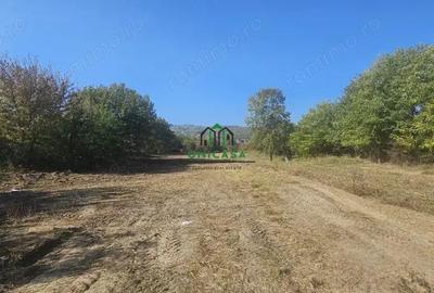 Teren 3960 mp / intravilan / Ramnicu Valcea - 5