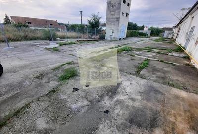 Hale de inchiriat cu suprafata intre 100-1700 mp in Cisnadie - 3