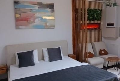 Garsonieră decomandată, mobilată în Central - 3