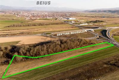 Teren în Central - 5