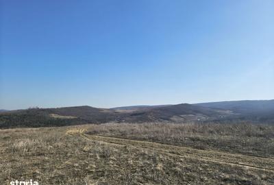 Teren de 400 mp, în Tomești - 1