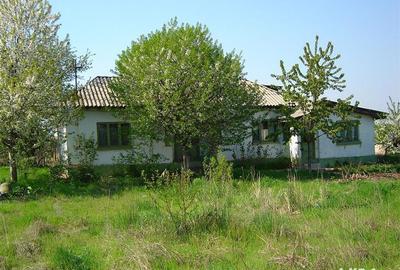 Casa cu teren 2618mp Mahmudia langa Dunare - 2