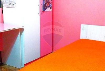 Apartament cu 2 camere de vanzare in zona 1 Mai Insula - 9