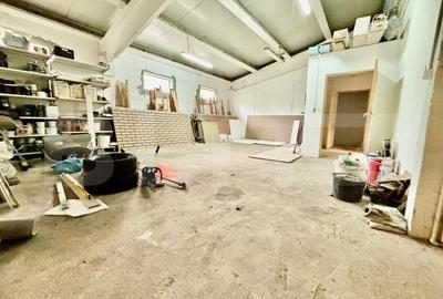 2 Hale, 1335mp, 175mp, 15 parcari, zona Petrom/ Dambul Rotund - 12