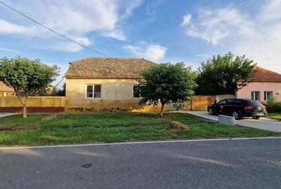 Sanmartinu Sarbesc- Casa individuala- 1370 mp teren Sanmartinu Sarbesc- Casa individuala- 1370 mp teren - 3