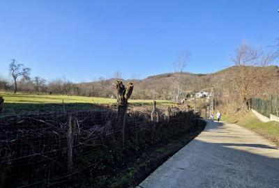 Teren 4.549 mp intravilan, la doar 8 minute de Valenii de M - 9