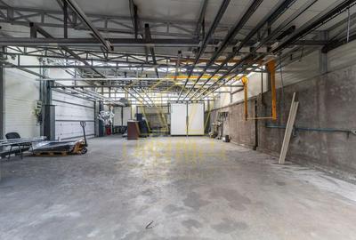 Hala industriala de 4.100mp | Giarmata - 10