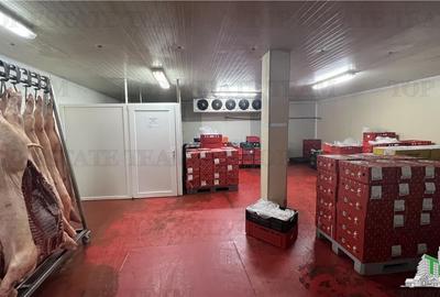 Hala de vanzare | 430 mp | Splaiul Unirii - 7