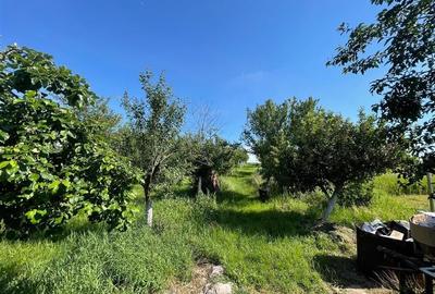 CASA P+E+M | 480MP | 8138MP TEREN | SACADAT - 51