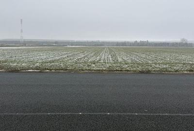 Teren de 30000 mp, în Săucești - 2