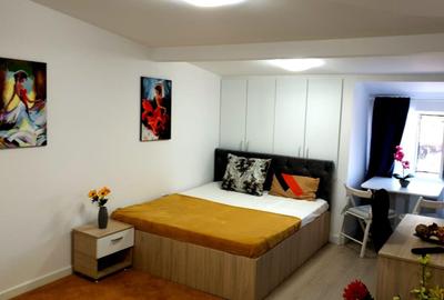 Garsonieră Parcul Carol / Unirii / Palatul Parlamentului - 5