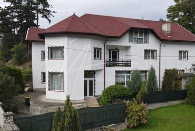 Rucar Vila- Casa de vacanta Potential turistic 8 camere - 5