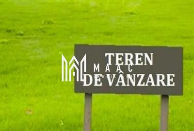 Teren montan | 6.043 Mp | Săliște - 1