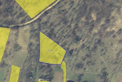 Teren faneata Vizantea Livezi , ID: R2800612 - 4