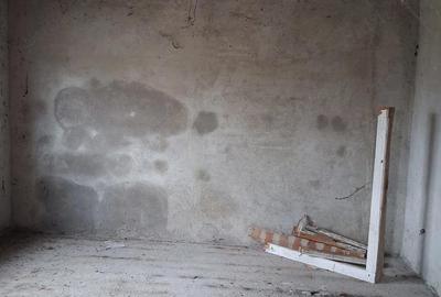 Casă cu 3 camere cu Teren 1439 Mp în Tărian - 2