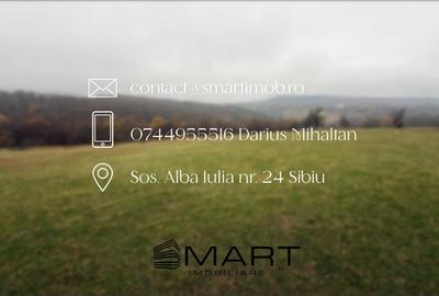 Teren spectaculos 3,5HA zona Cisnadioara - 7